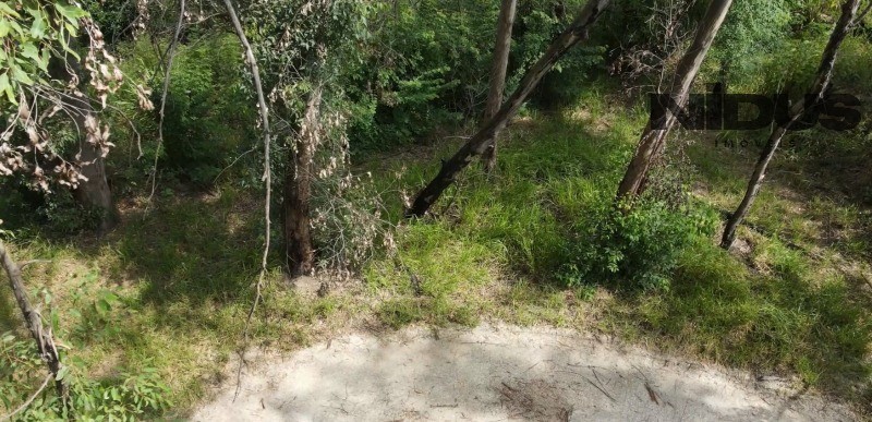 Terreno, 1 hectares - Foto 16