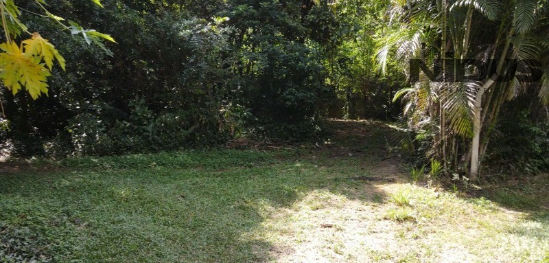 Terreno, 1 hectares - Foto 8