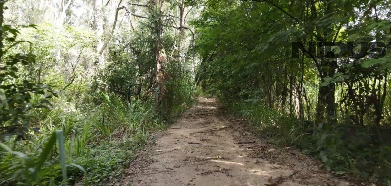 Terreno, 1 hectares - Foto 11