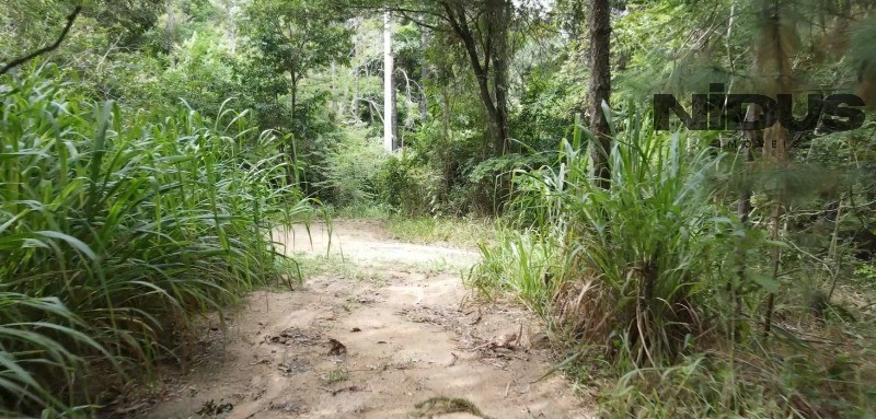 Terreno, 1 hectares - Foto 14