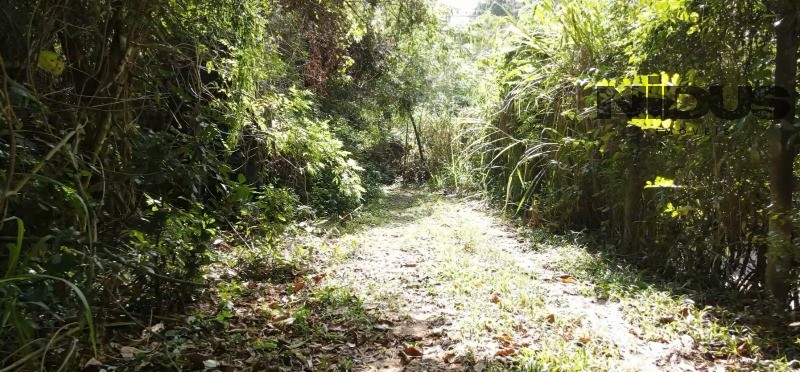 Terreno, 1 hectares - Foto 12