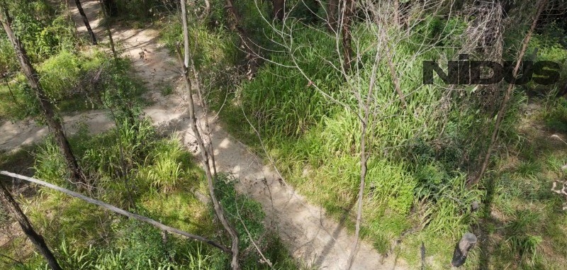 Terreno, 1 hectares - Foto 13