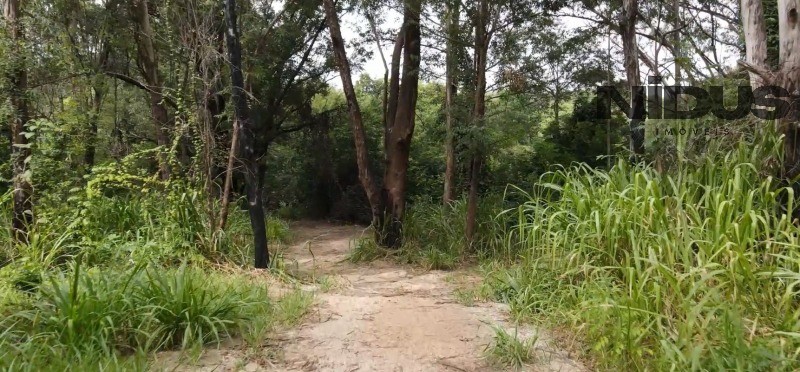 Terreno, 1 hectares - Foto 17