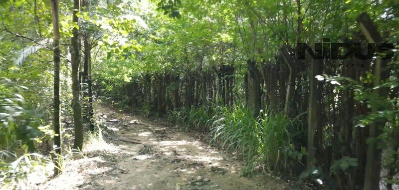 Terreno, 1 hectares - Foto 9