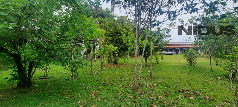 Chácara, 4 quartos - Foto 38