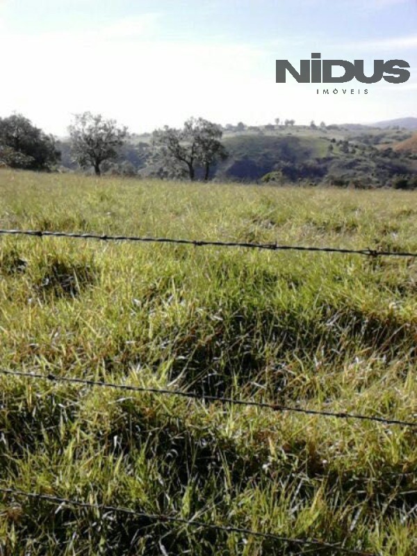 Terreno, 178400 m² - Foto 7