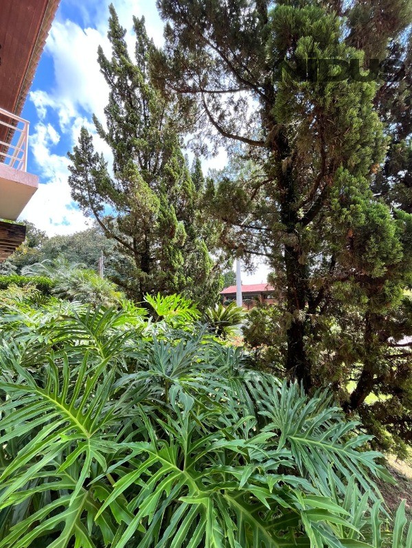 Casa, 4 quartos, 453 m² - Foto 3
