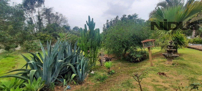 Chácara, 4 quartos - Foto 40