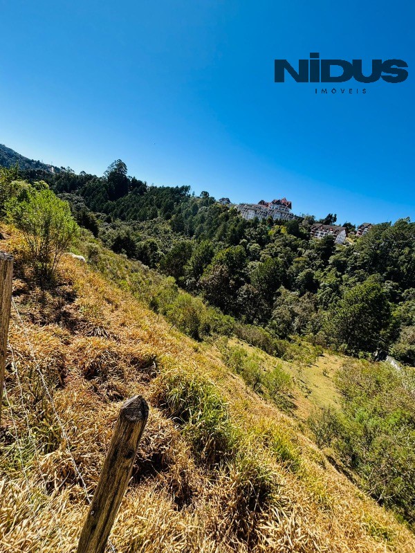 Terreno, 5024 m² - Foto 5