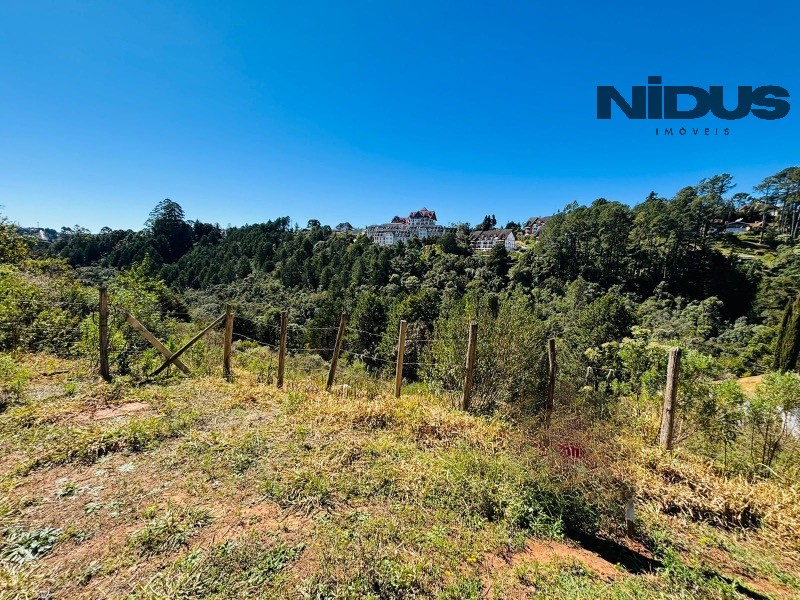 Terreno, 5024 m² - Foto 6
