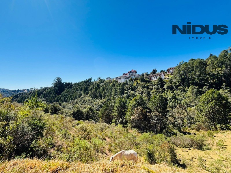 Terreno, 5024 m² - Foto 4