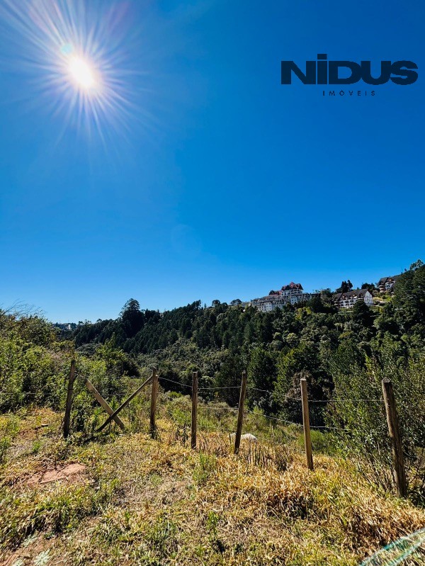 Terreno, 5024 m² - Foto 3