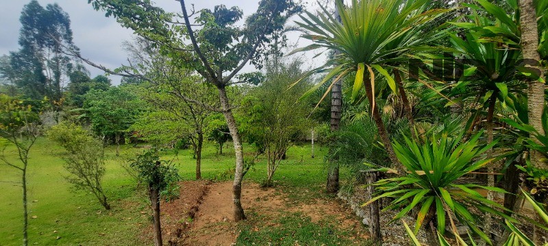 Chácara, 4 quartos - Foto 42