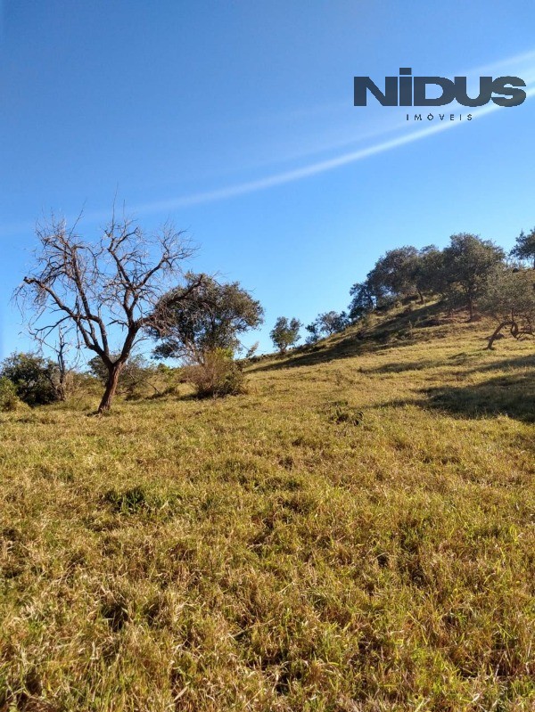 Terreno, 178400 m² - Foto 6