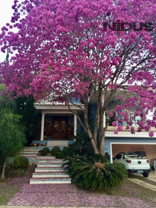 Casa, 4 quartos - Foto 23