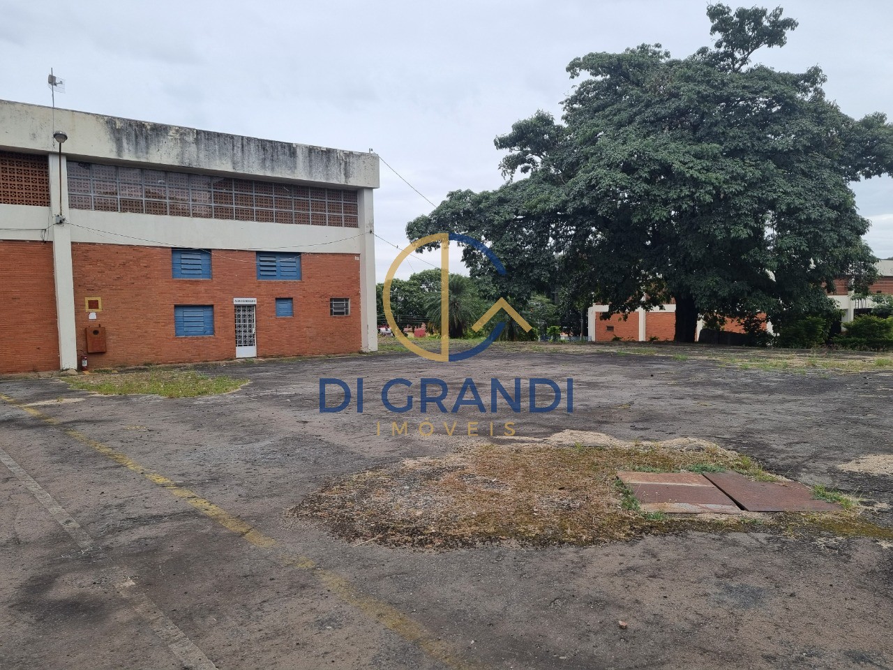 Depósito-Galpão, 3654 m² - Foto 7