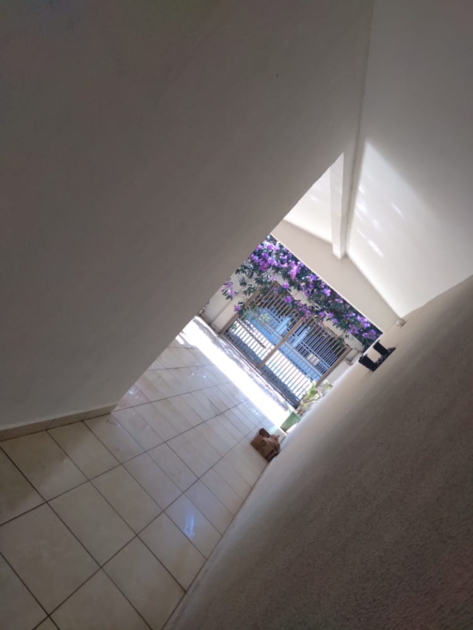 Casa, 4 quartos, 69 m² - Foto 2