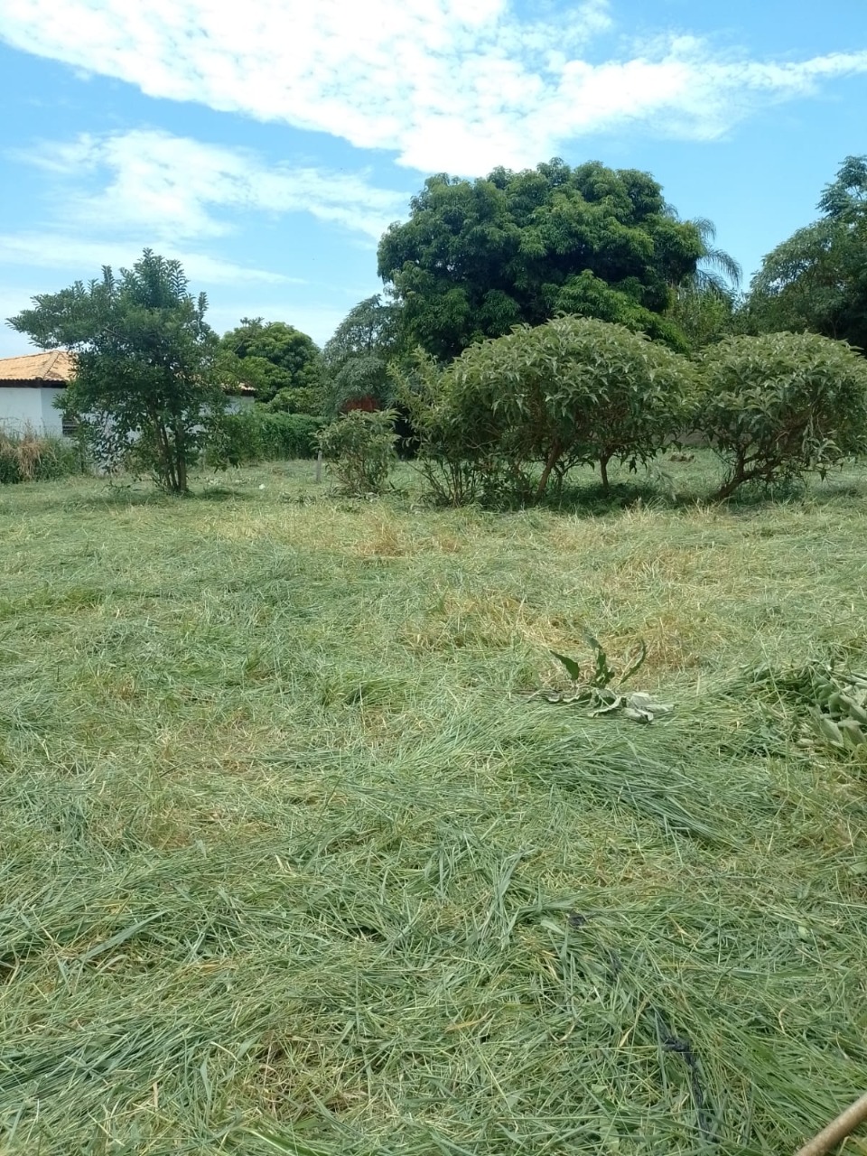 Terreno, 1000 m² - Foto 3