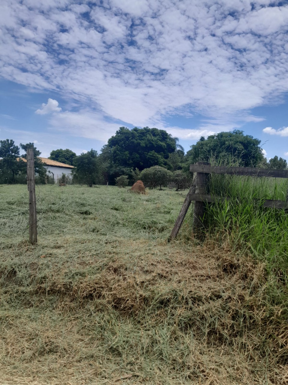 Terreno, 1000 m² - Foto 1