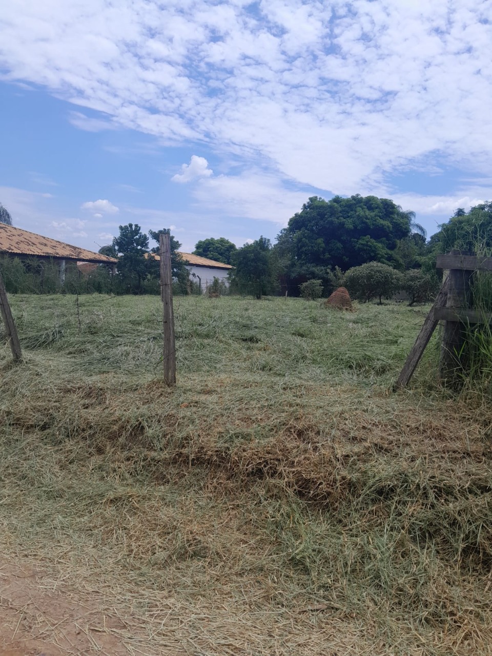Terreno, 1000 m² - Foto 2