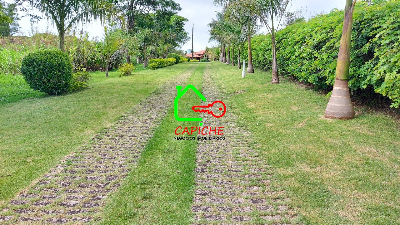 Sítio à venda com 3 quartos - Foto 30