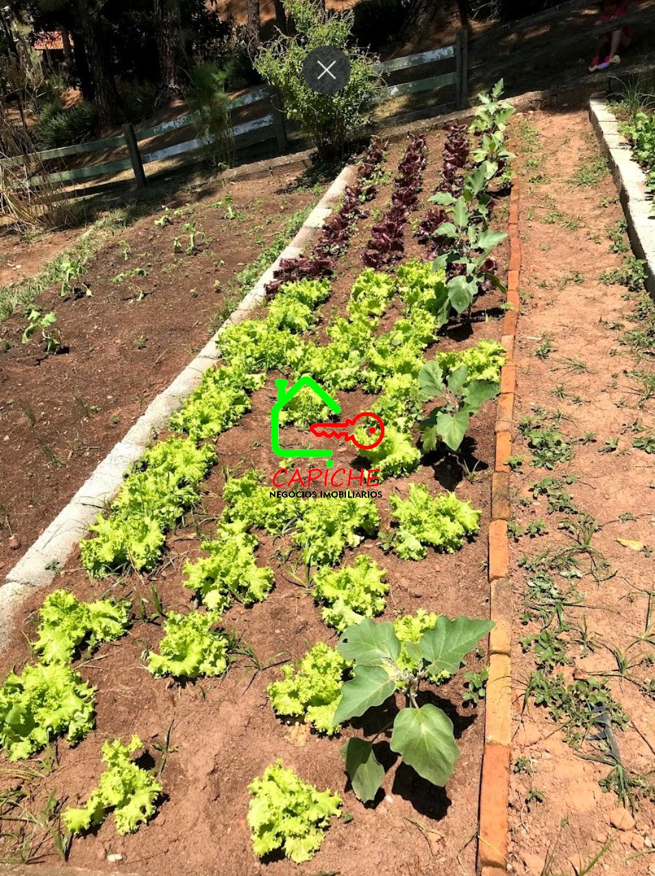 Casa de Condomínio à venda e aluguel com 4 quartos, 14700m² - Foto 8