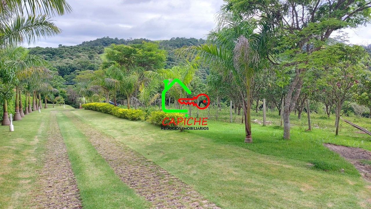 Sítio à venda com 3 quartos - Foto 31