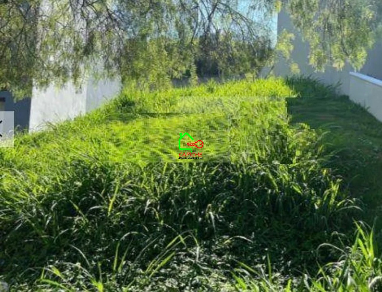 Terreno à venda, 250m² - Foto 3