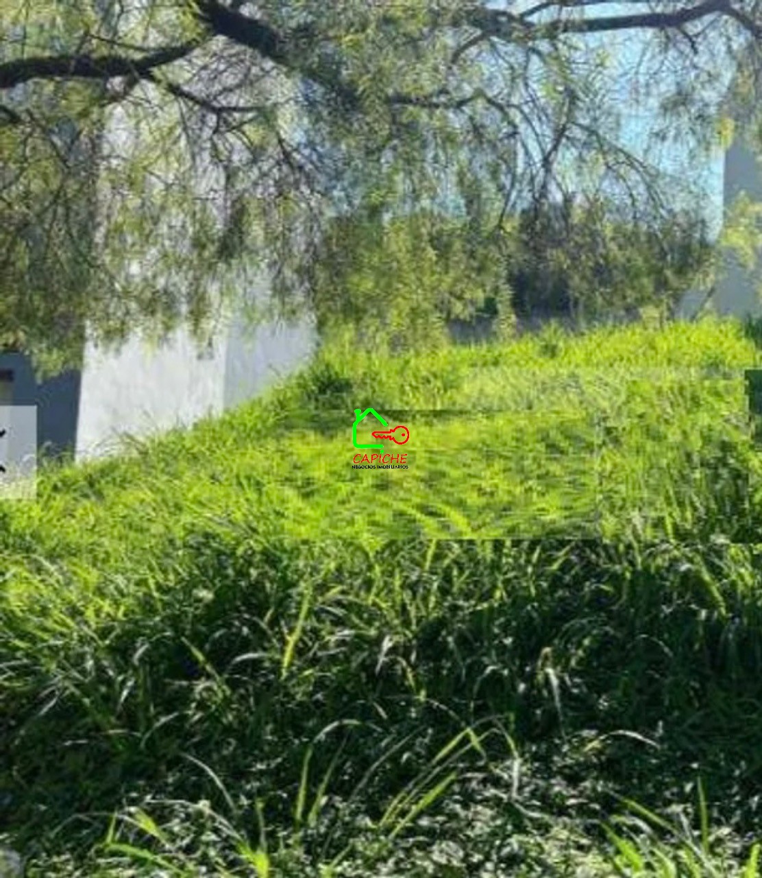 Terreno à venda, 250m² - Foto 2