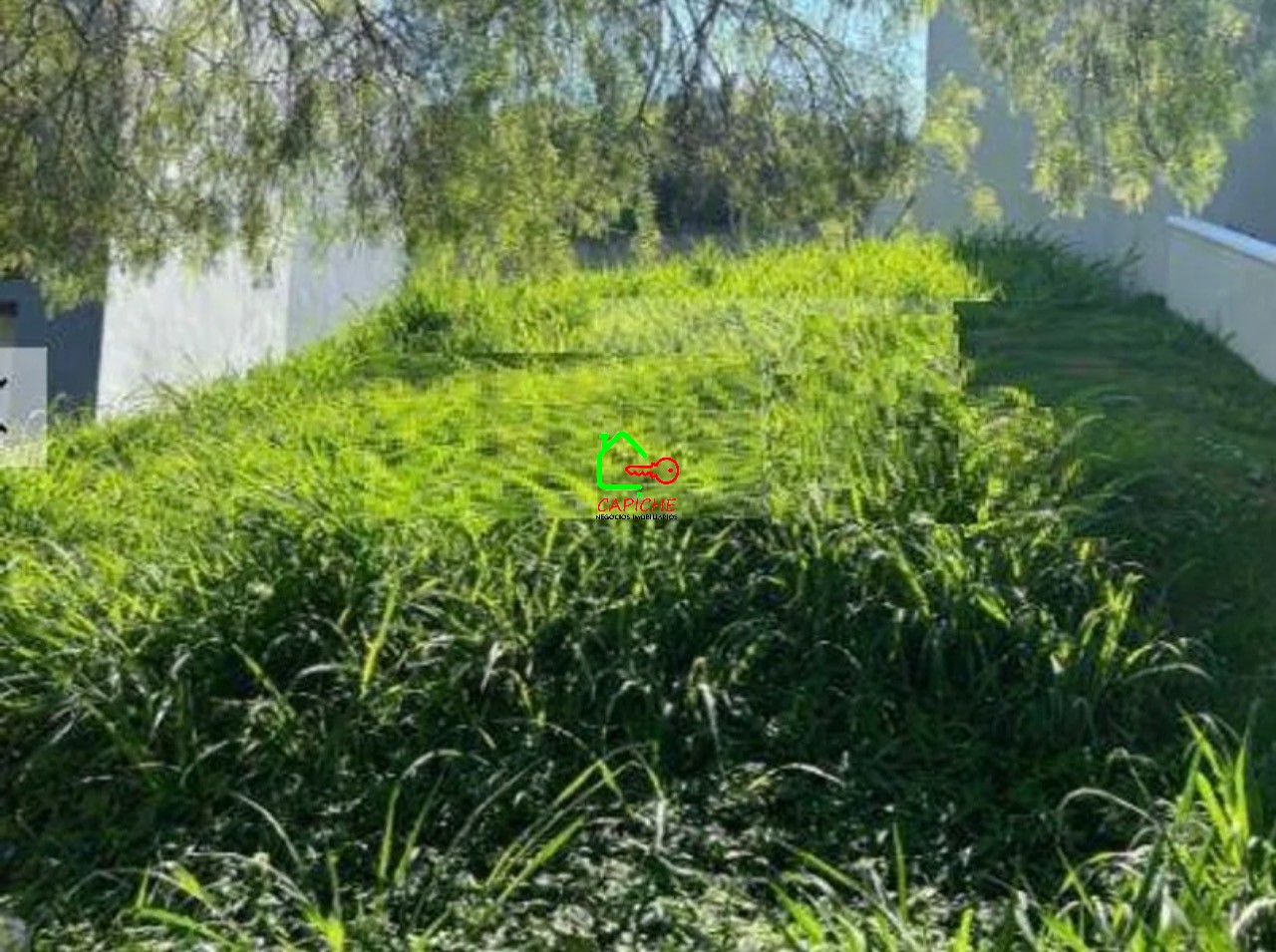 Terreno à venda, 250m² - Foto 1