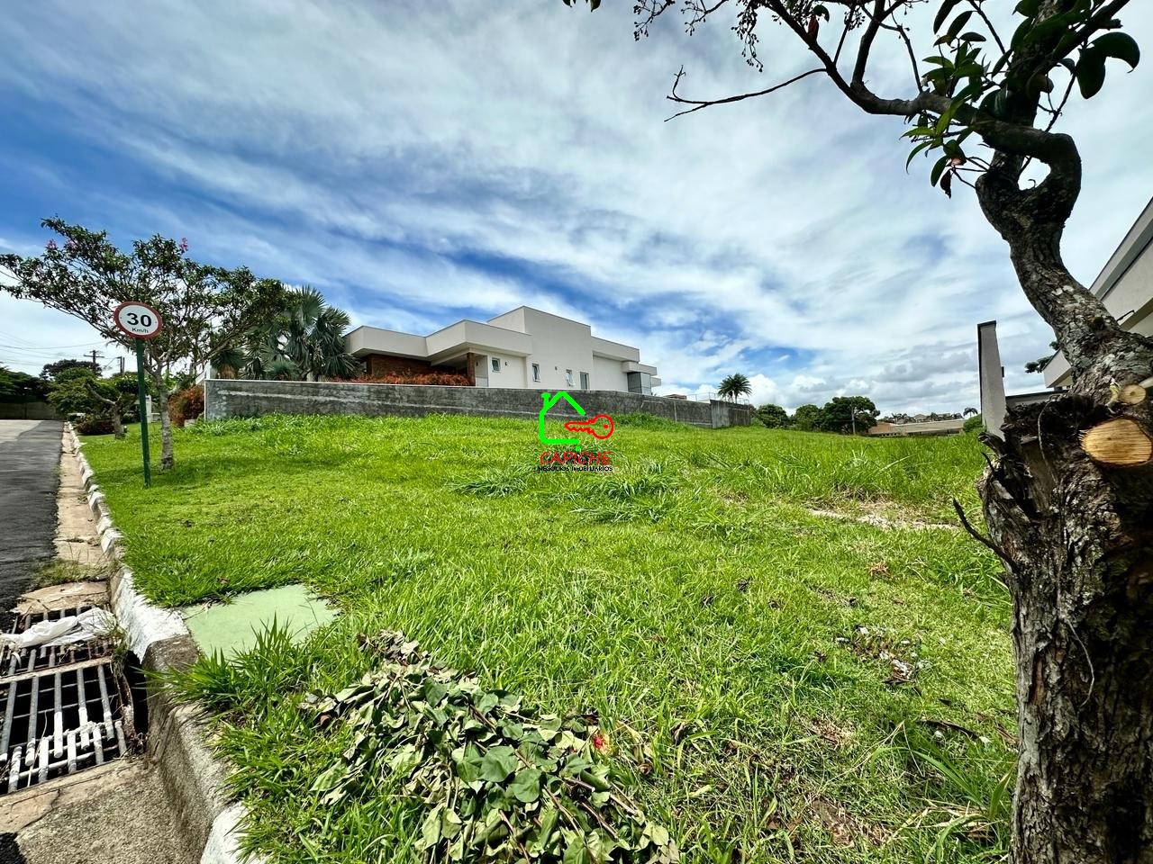 Terreno à venda, 10000m² - Foto 3