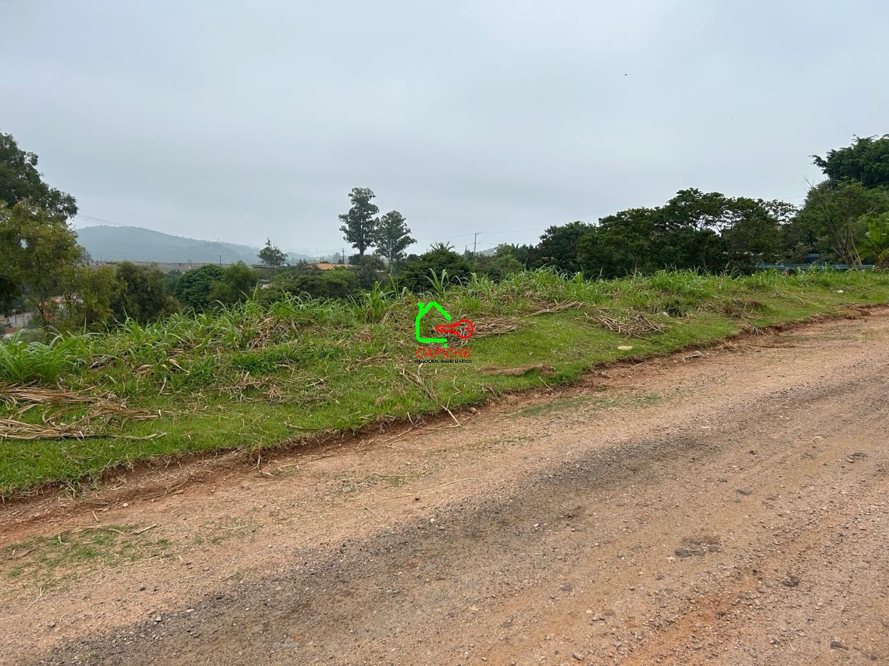 Terreno à venda, 9847m² - Foto 3