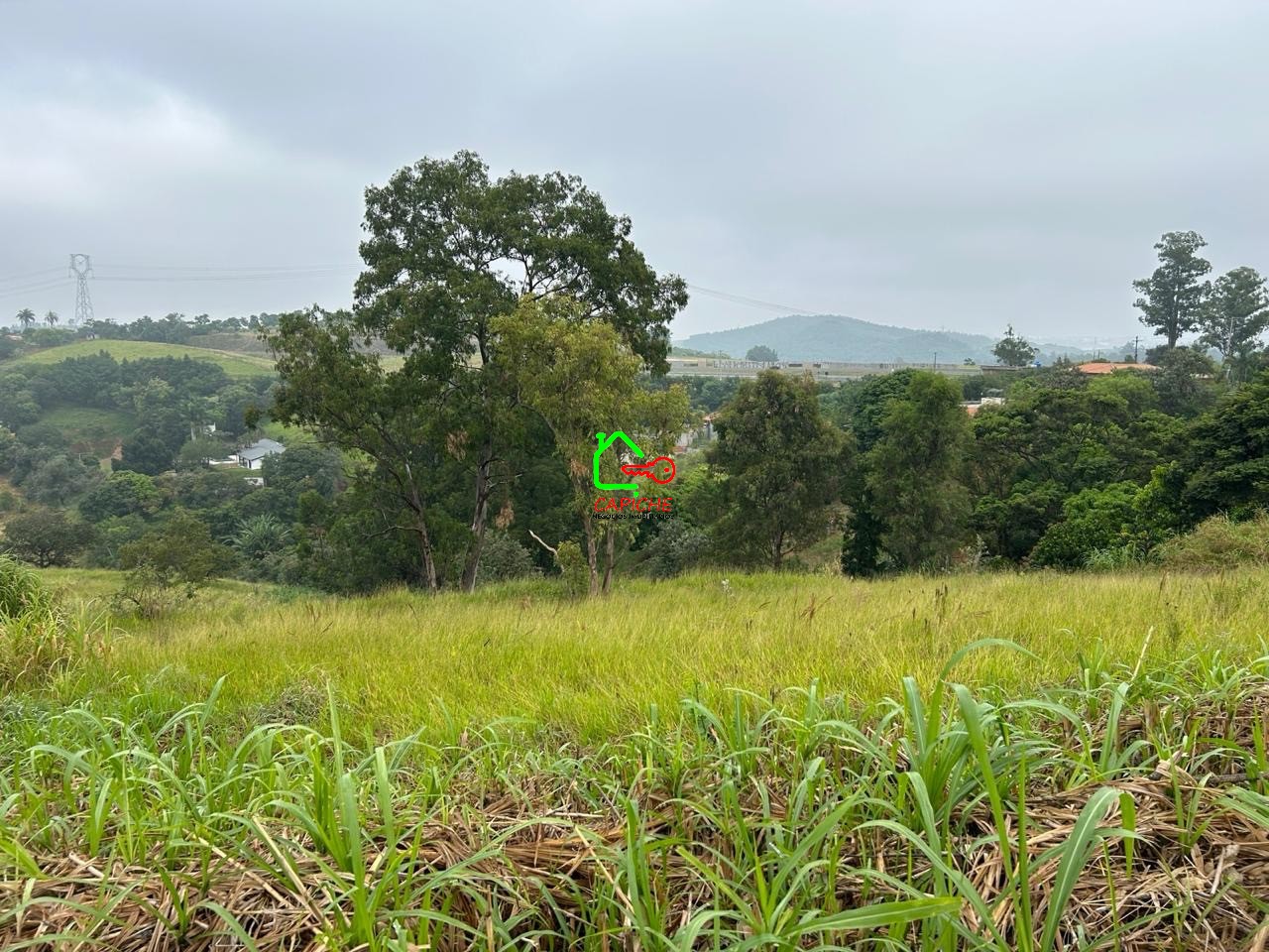 Terreno à venda, 9847m² - Foto 1
