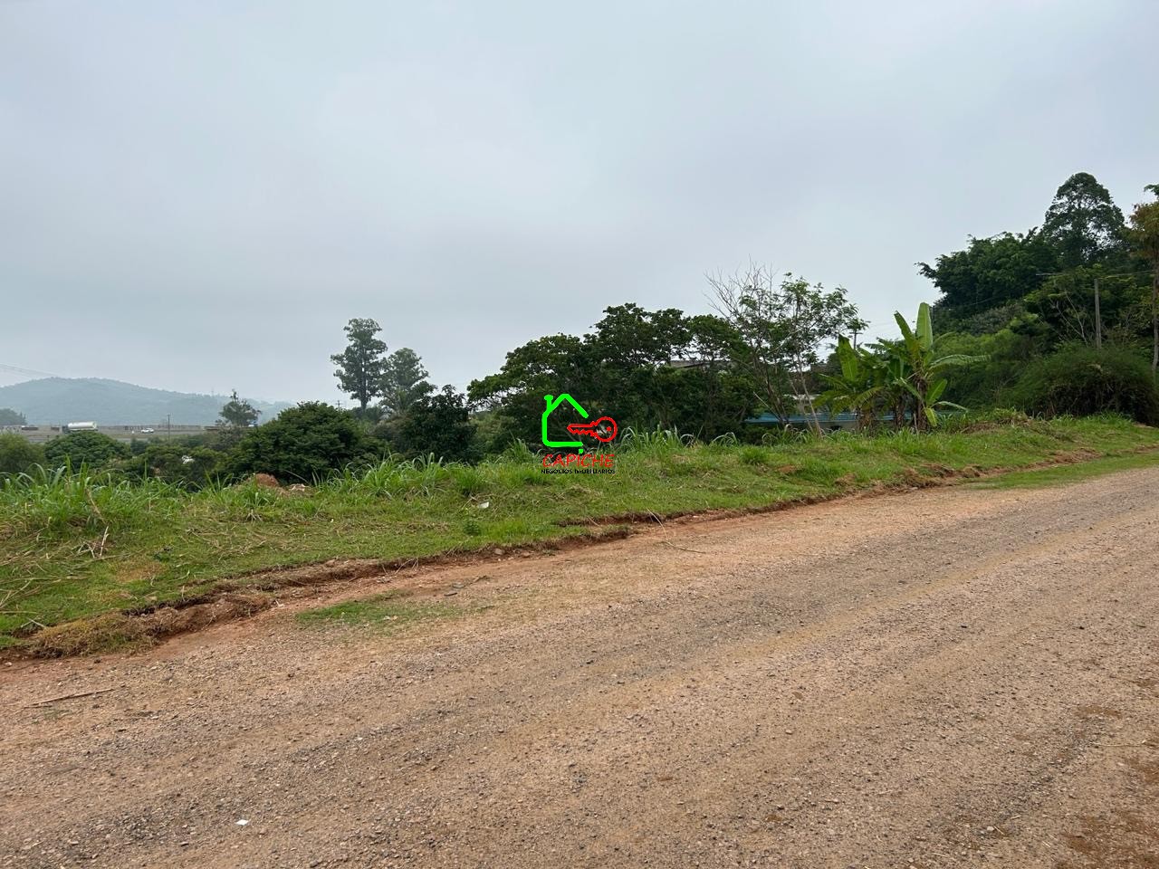 Terreno à venda, 9847m² - Foto 5
