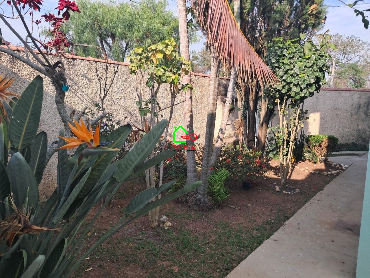 Casa para alugar com 3 quartos, 393m² - Foto 16