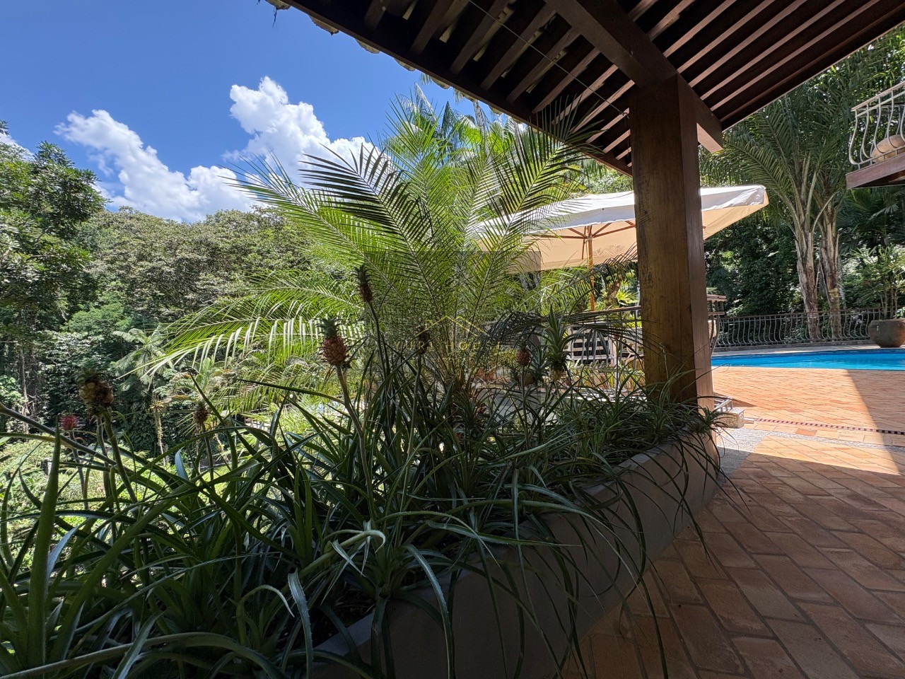 Casa, 4 quartos, 700 m² - Foto 5
