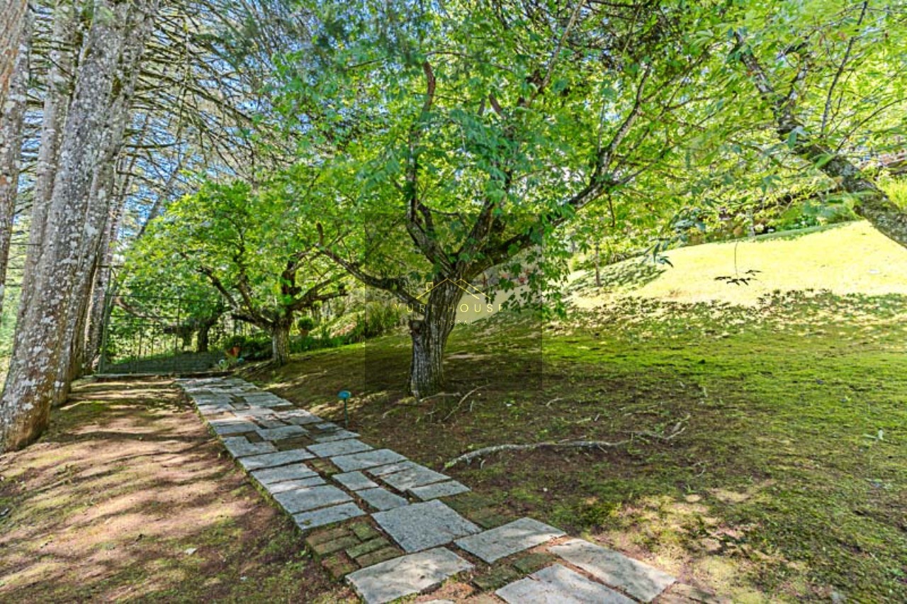 Casa, 5 quartos - Foto 14