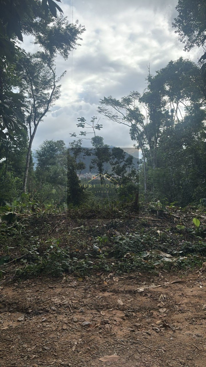 Terreno, 666 m² - Foto 3