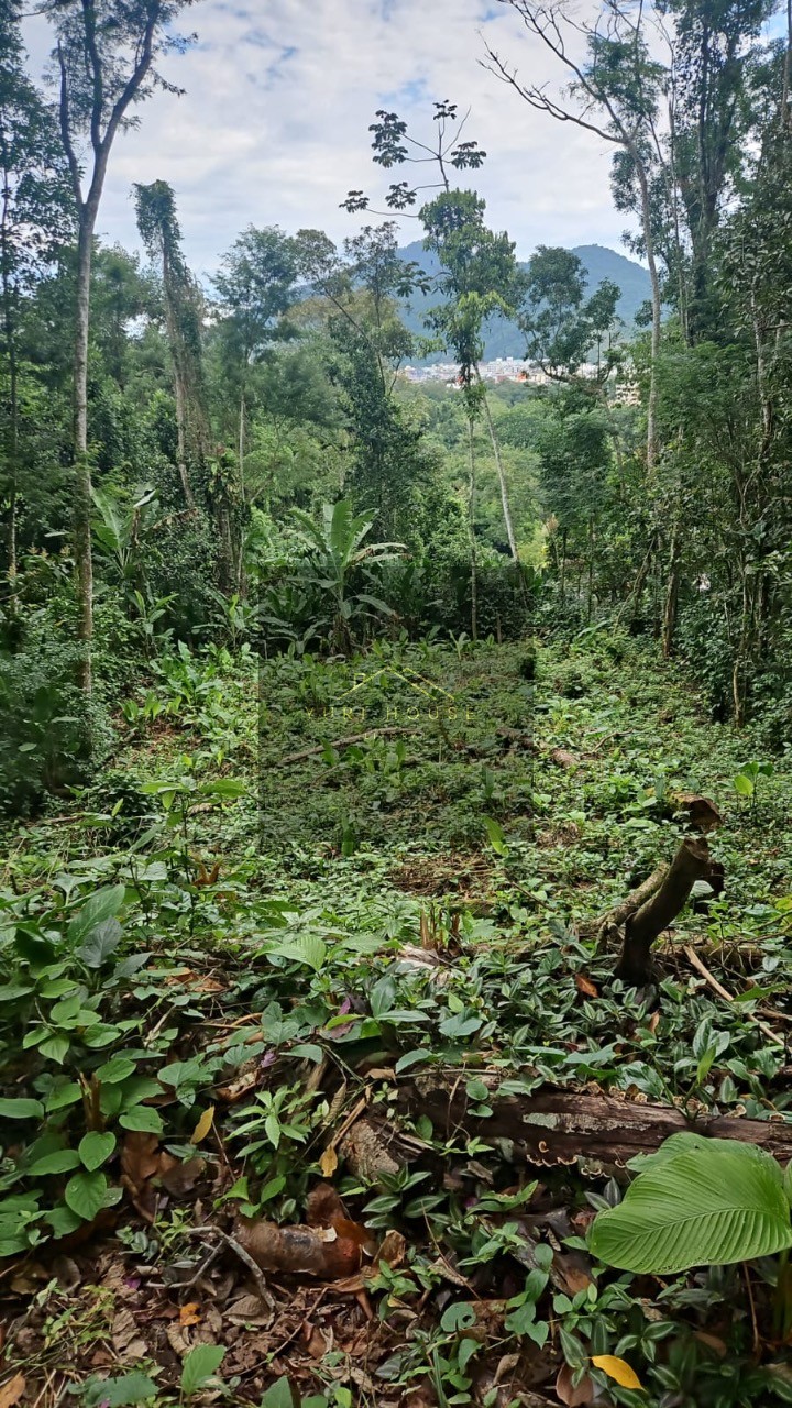 Terreno, 666 m² - Foto 7