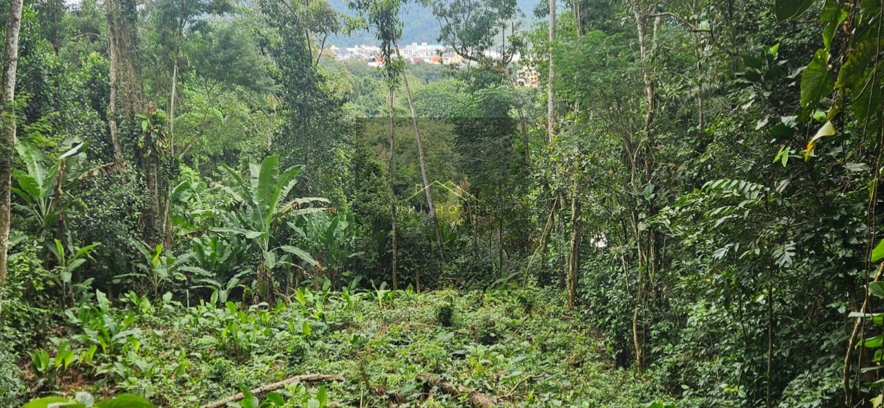 Terreno, 666 m² - Foto 12