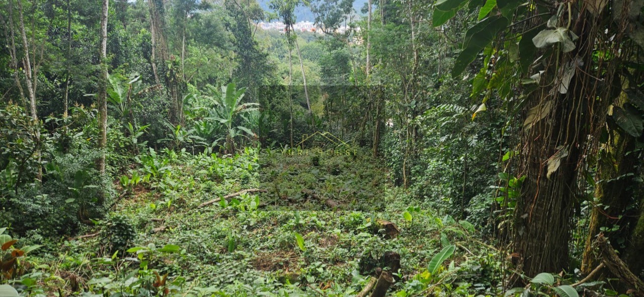 Terreno, 666 m² - Foto 13