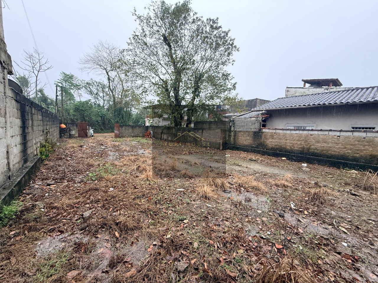 Terreno, 250 m² - Foto 5