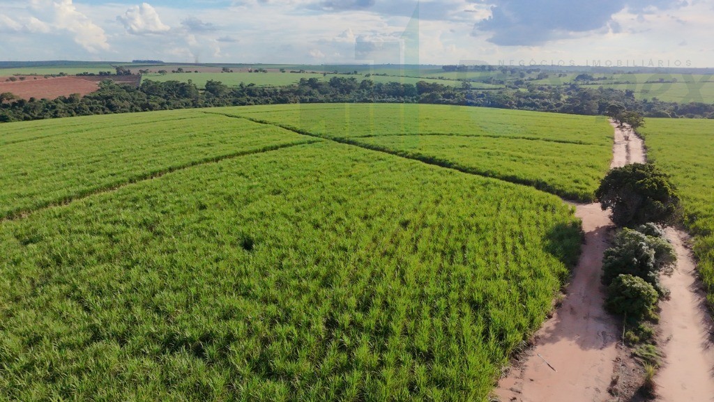 Fazenda à venda, 33m² - Foto 5