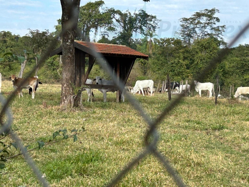 Oportunidade Única: Sítio à venda em Balbinos-SP, com 14,36 alqueires de área no bairro X. Confira já!
