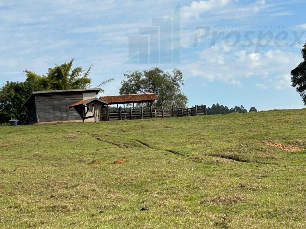 Oportunidade Única: Sítio à venda em Balbinos-SP, com 14,36 alqueires de área no bairro X. Confira já!