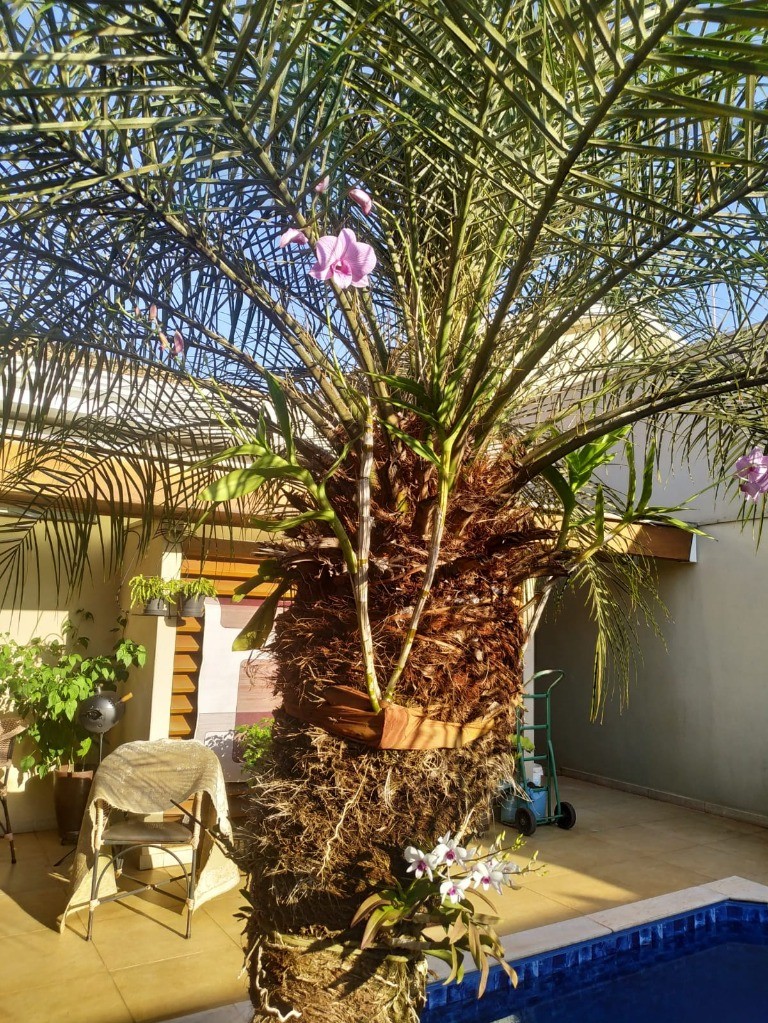 Casa à venda com 3 quartos - Foto 6