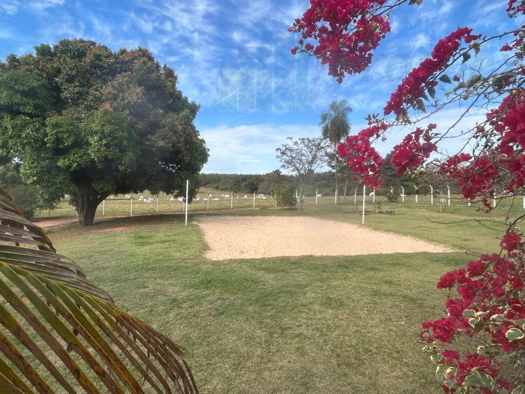 Oportunidade Única: Sítio à venda em Balbinos-SP, com 14,36 alqueires de área no bairro X. Confira já!