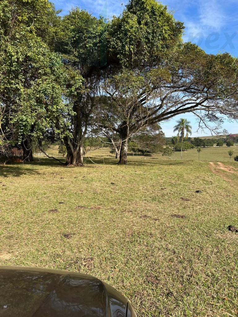 Oportunidade única: sítio à venda em balbinos-sp, com 14,36 