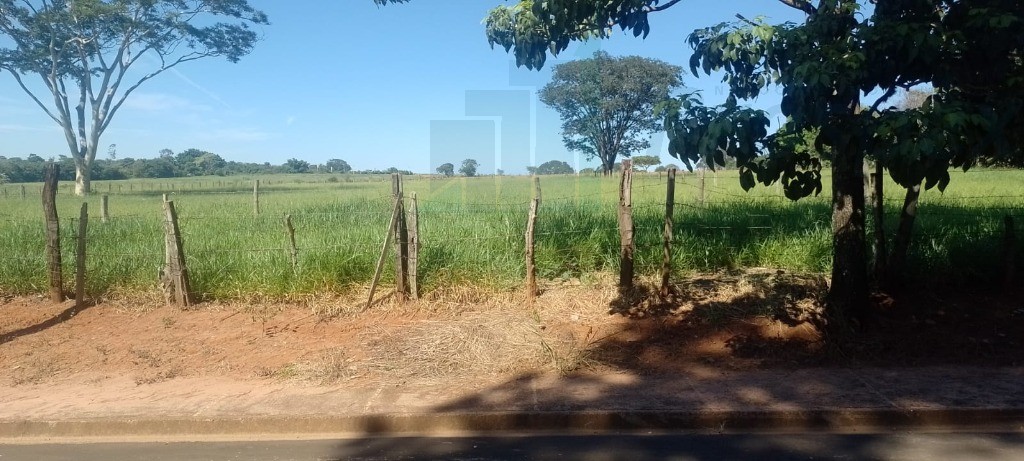 Terreno à venda, 5000m² - Foto 3