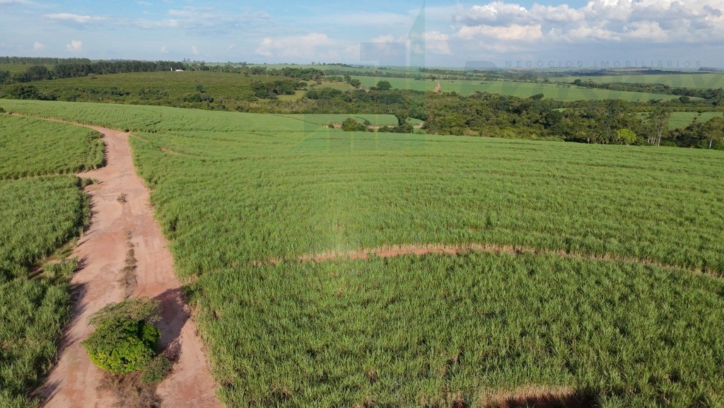 Fazenda à venda, 33m² - Foto 4